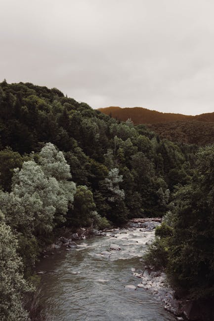 Timothy Hatfield tweet media