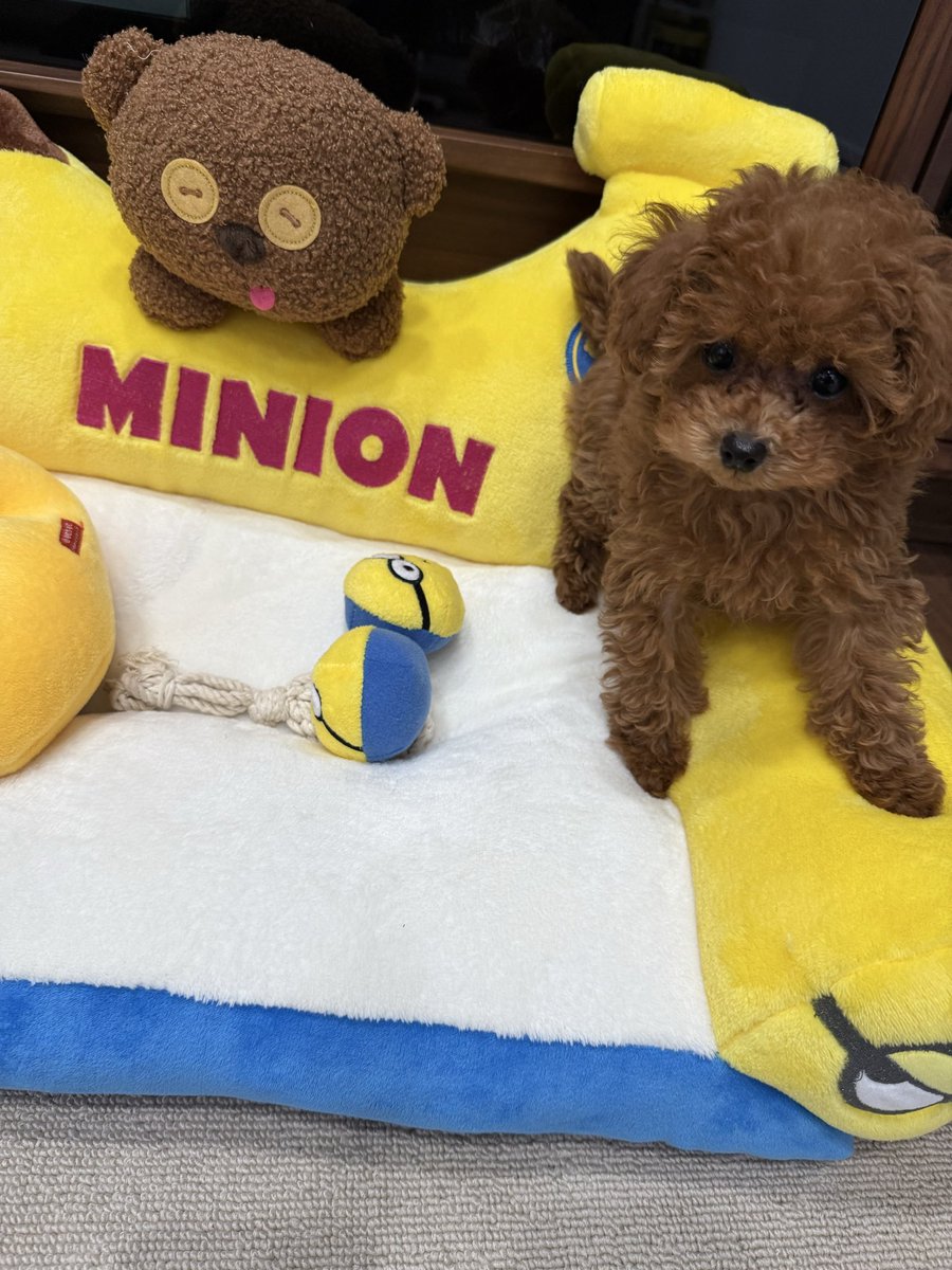 麺王道　勝 (新アカウント) tweet media