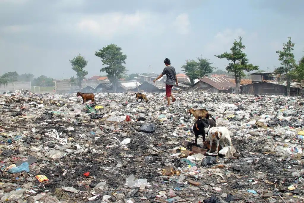 지구의 날은 환경오염의 심각성을 알리기 위한 날이지만, 문제의식이 단 하루로 끝나서는 안 된다. 너희는 지구 환경오염 문제를 얼마나 진지하게 생각하고 있는가?

시간이 날 때마다 earth.org에 들어가서 관련 기사를 읽어보는 것도 너희에게 도움이 될 것이다.