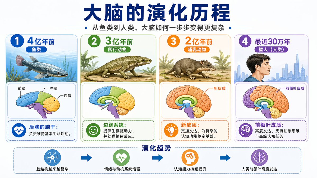 howie.serious tweet media