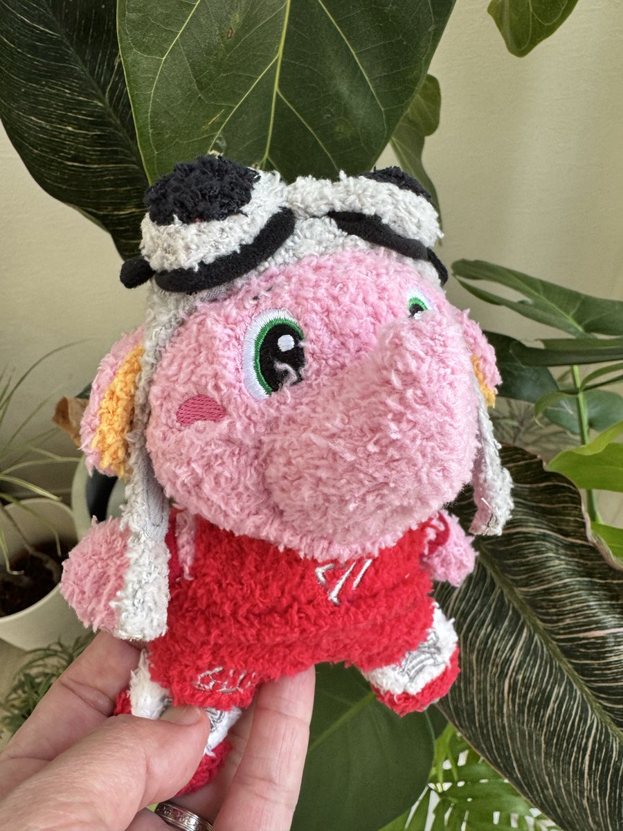 Welcome to my home🐘

我が家に仔象😍
こりゃー 今日の試合...
もらったゾウ🔥

<a href="/CHIBAJETS/">千葉ジェッツふなばし 🛫PAINT IT JETS✨</a> 
<a href="/Jumbokun_GOJETS/">【公式】ジャンボくん(千葉ジェッツ)</a>