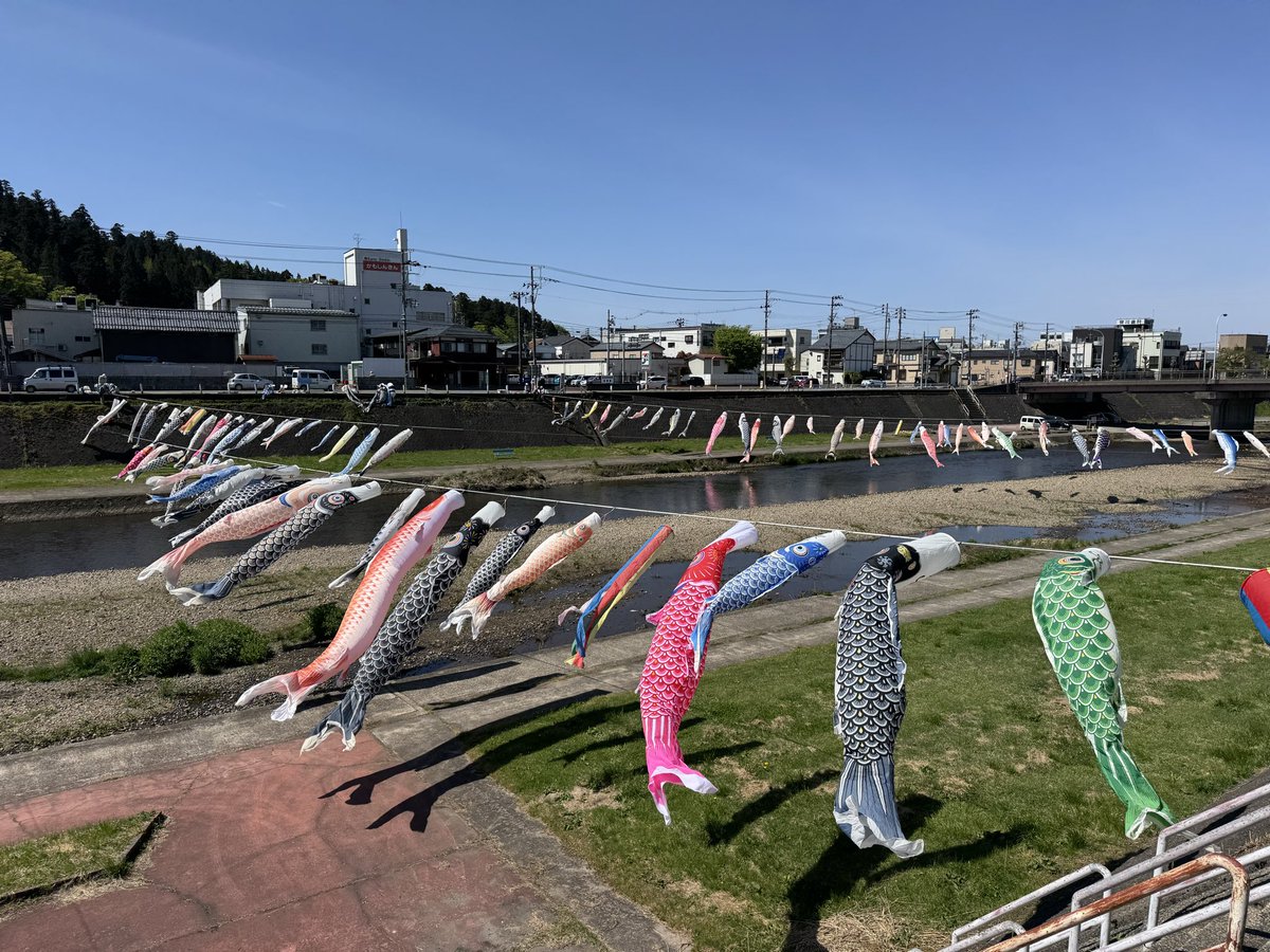 kamokankou's tweet photo. ＼只今鯉のぼり設置中🎏／
4月24日(金)から始まる「#加茂川を泳ぐ鯉のぼり」に向けて、現在総勢35名で加茂川に鯉のぼりを設置中💪

完成の様子はまたご報告いたします！

25日(土)からはマルシェも開催しますので、ぜひお越しください！

#鯉のぼり #加茂市観光協会 #FindKAMO https://t.co/DaZ8m5tsKt