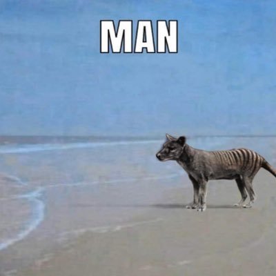 🦈hiny Gander™ the Resurgence tweet media