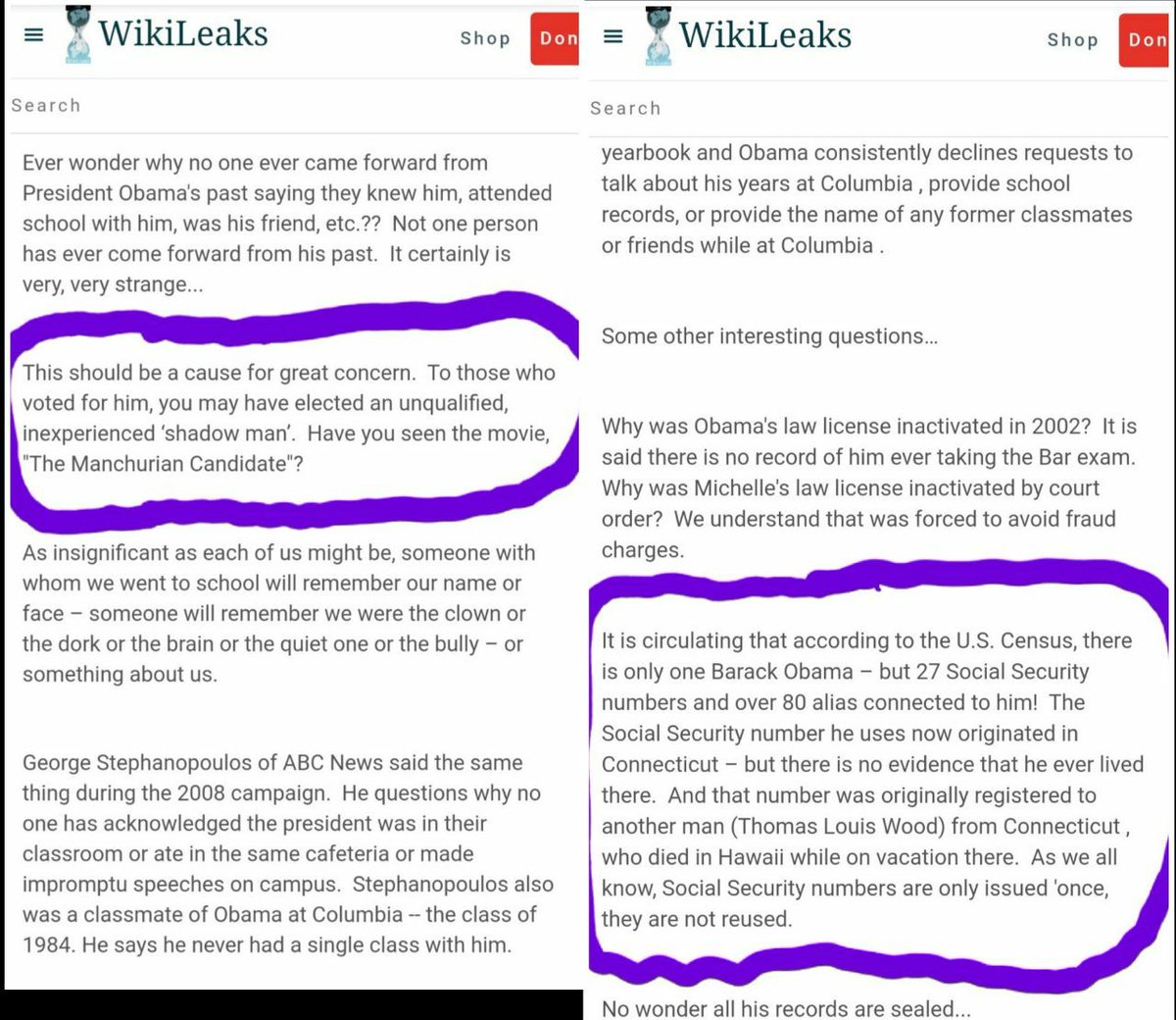 Bridgett Fertig tweet media