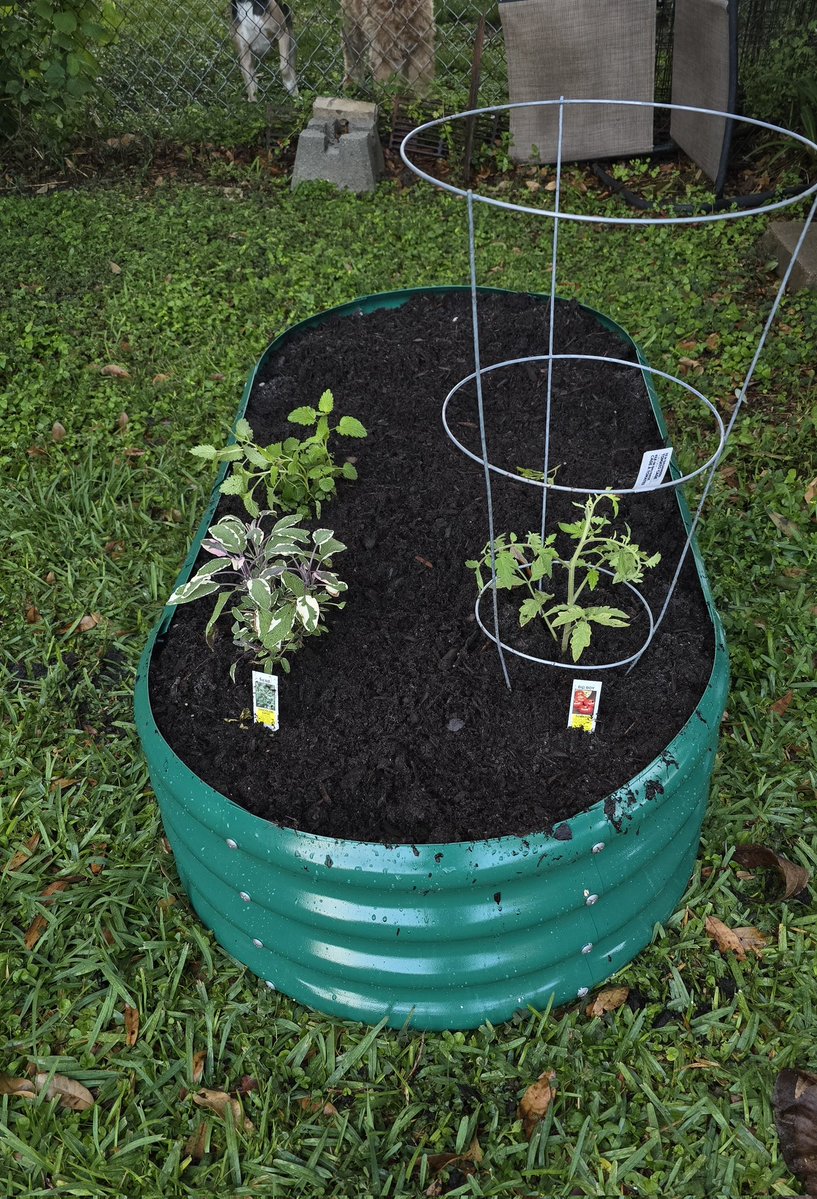 bean ✨ tweet media