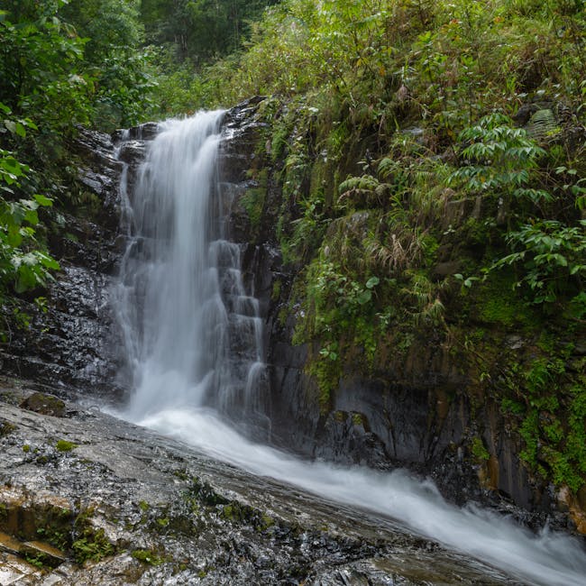 Melissa Thomas tweet media