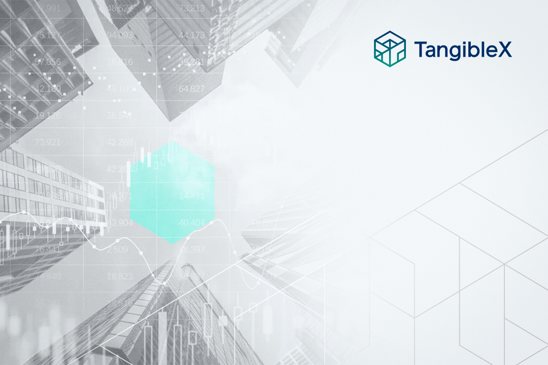 TangibleX tweet media