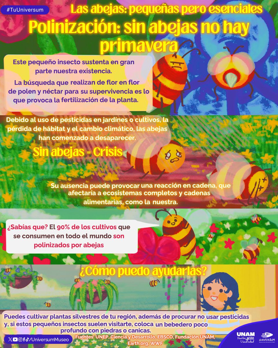 UniversumMuseo's tweet photo. Polinización 🐝🐝🐝

#TuUniversum https://t.co/A0IWll66Wh