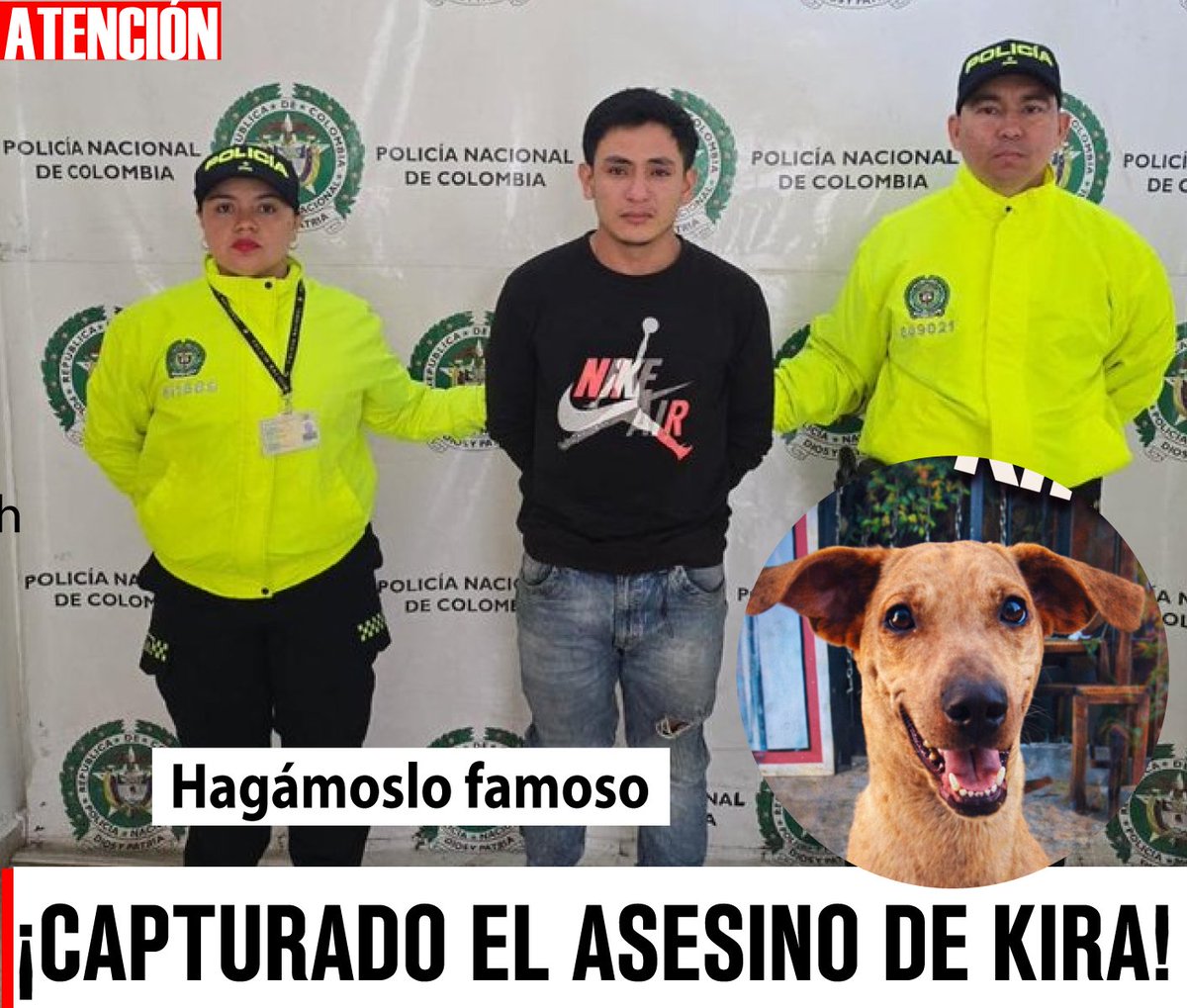 Plataforma ALTO tweet media