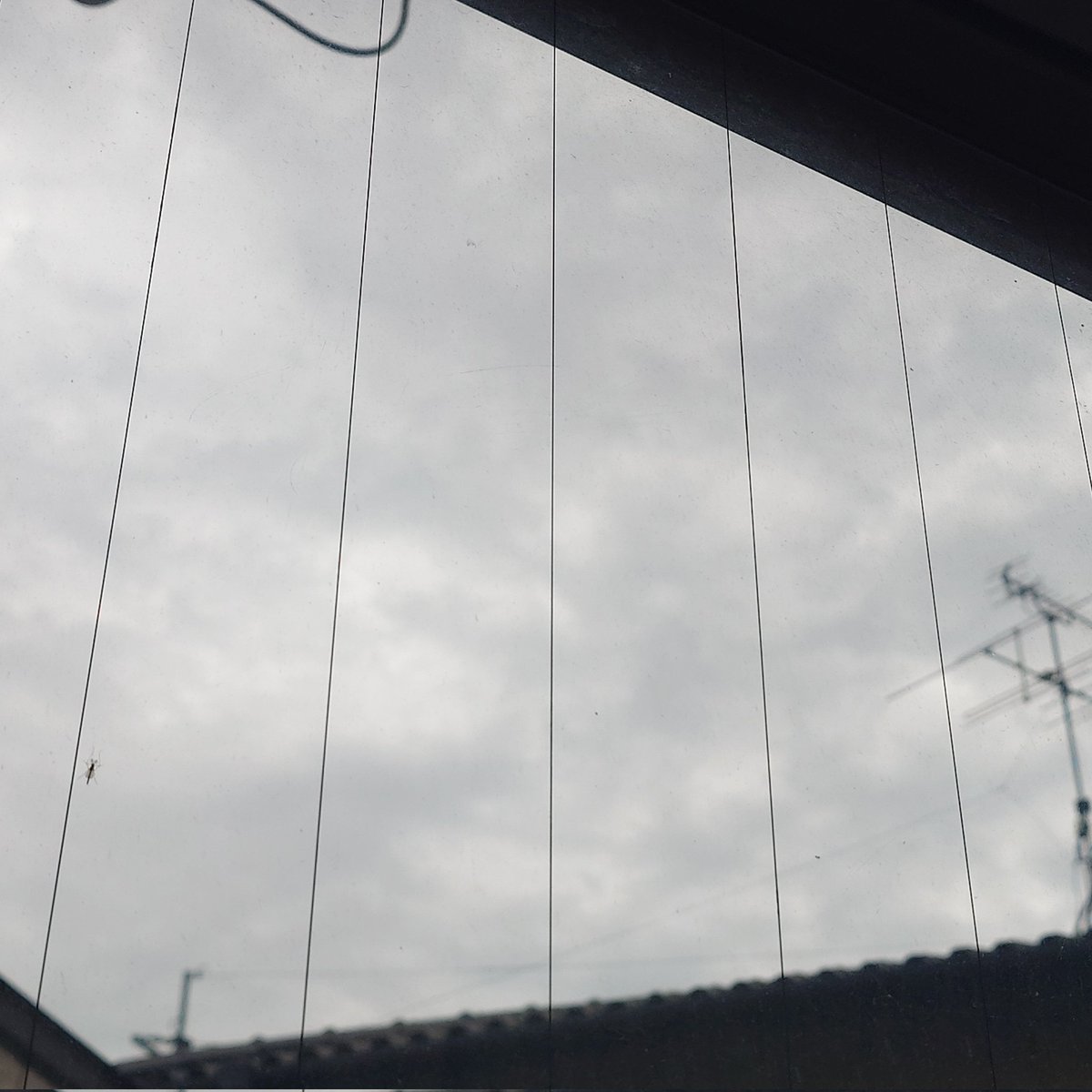 〘あ～！〙Ver.２＠古本&英語 tweet media