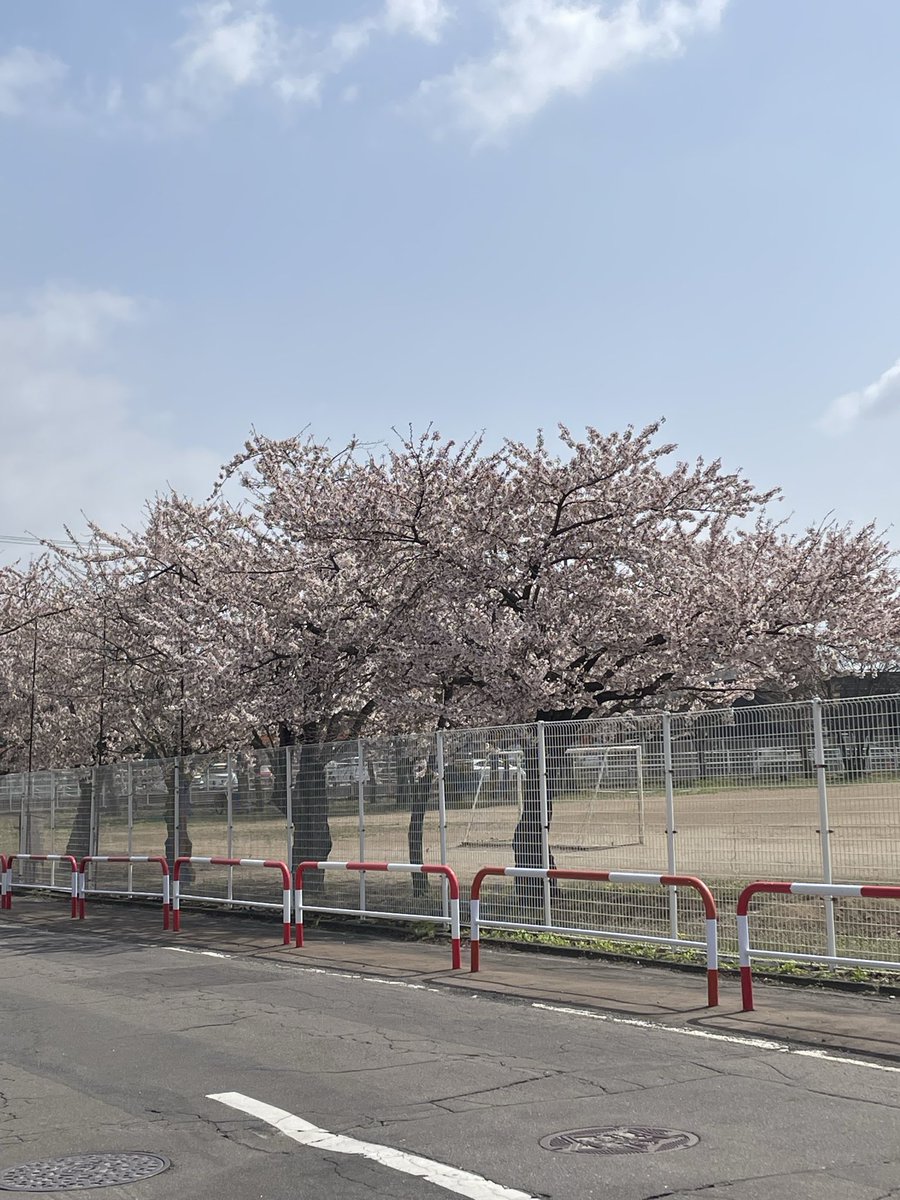 QKくん tweet media