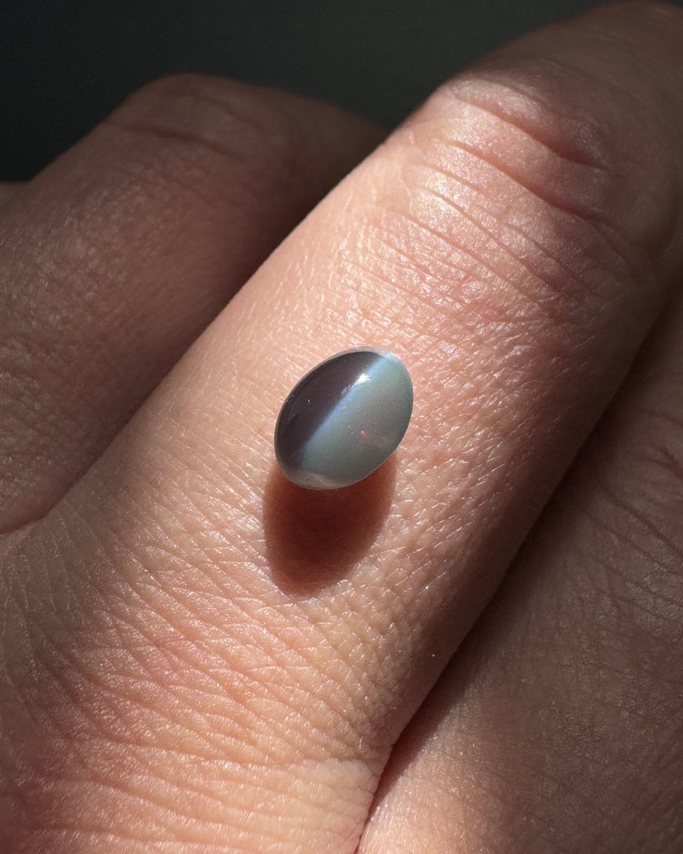 fancygems tweet media