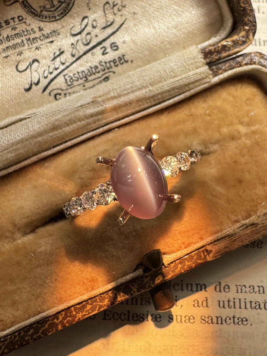 fancygems tweet media