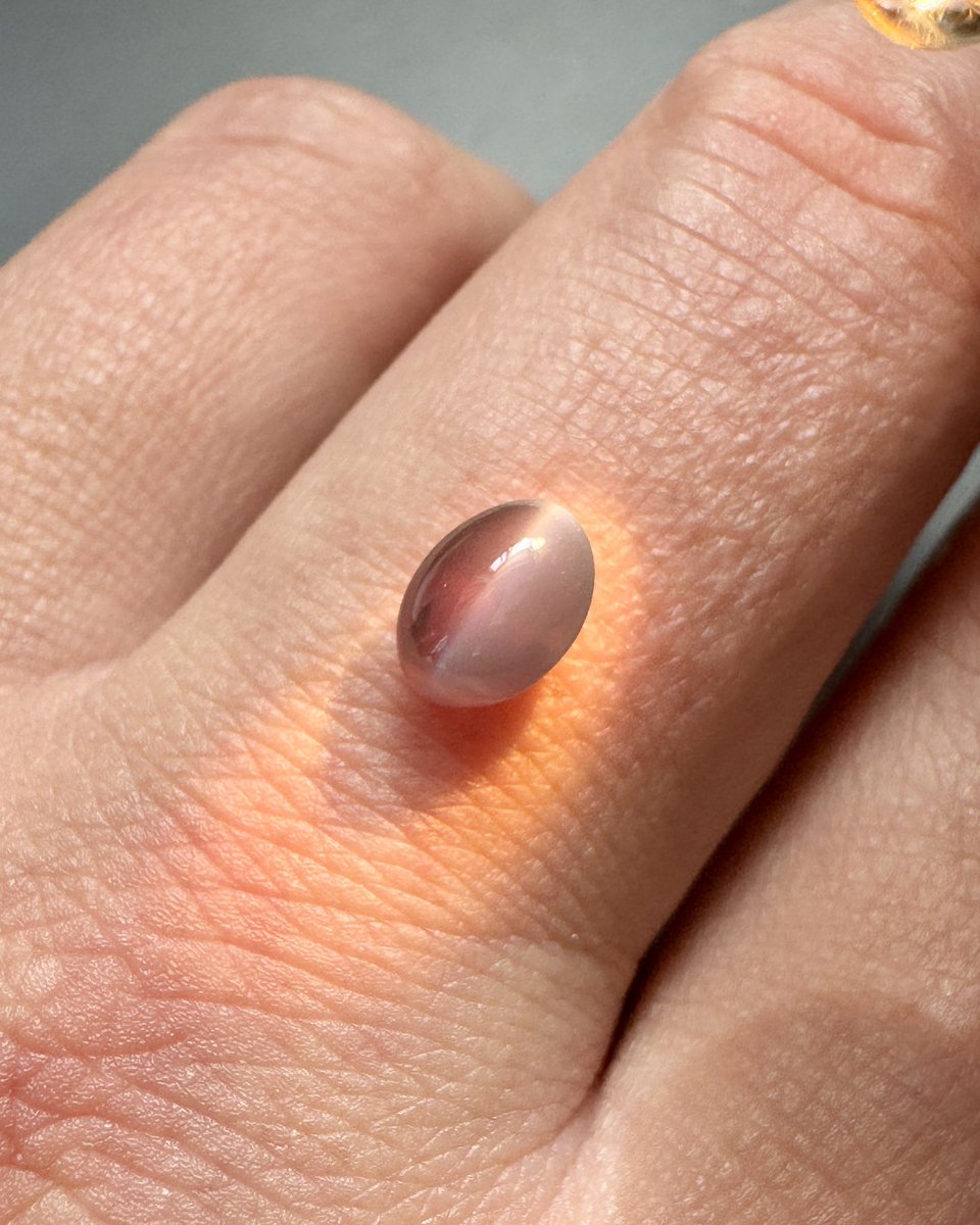 fancygems tweet media