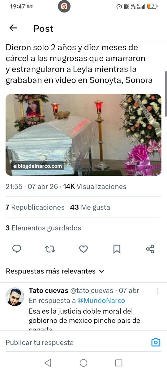 alex chamaya tweet media