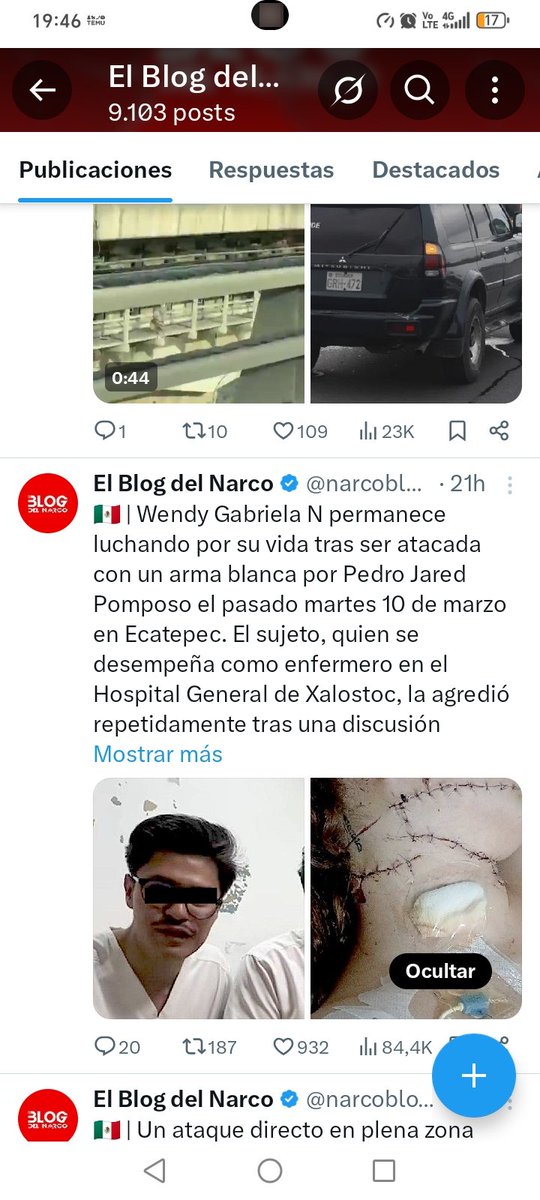 alex chamaya tweet media