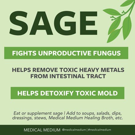 Medical Medium tweet media