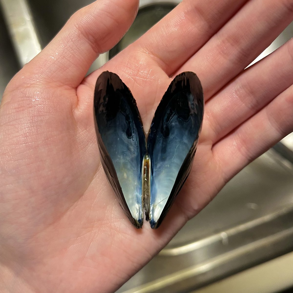 Max 🌺 tweet media