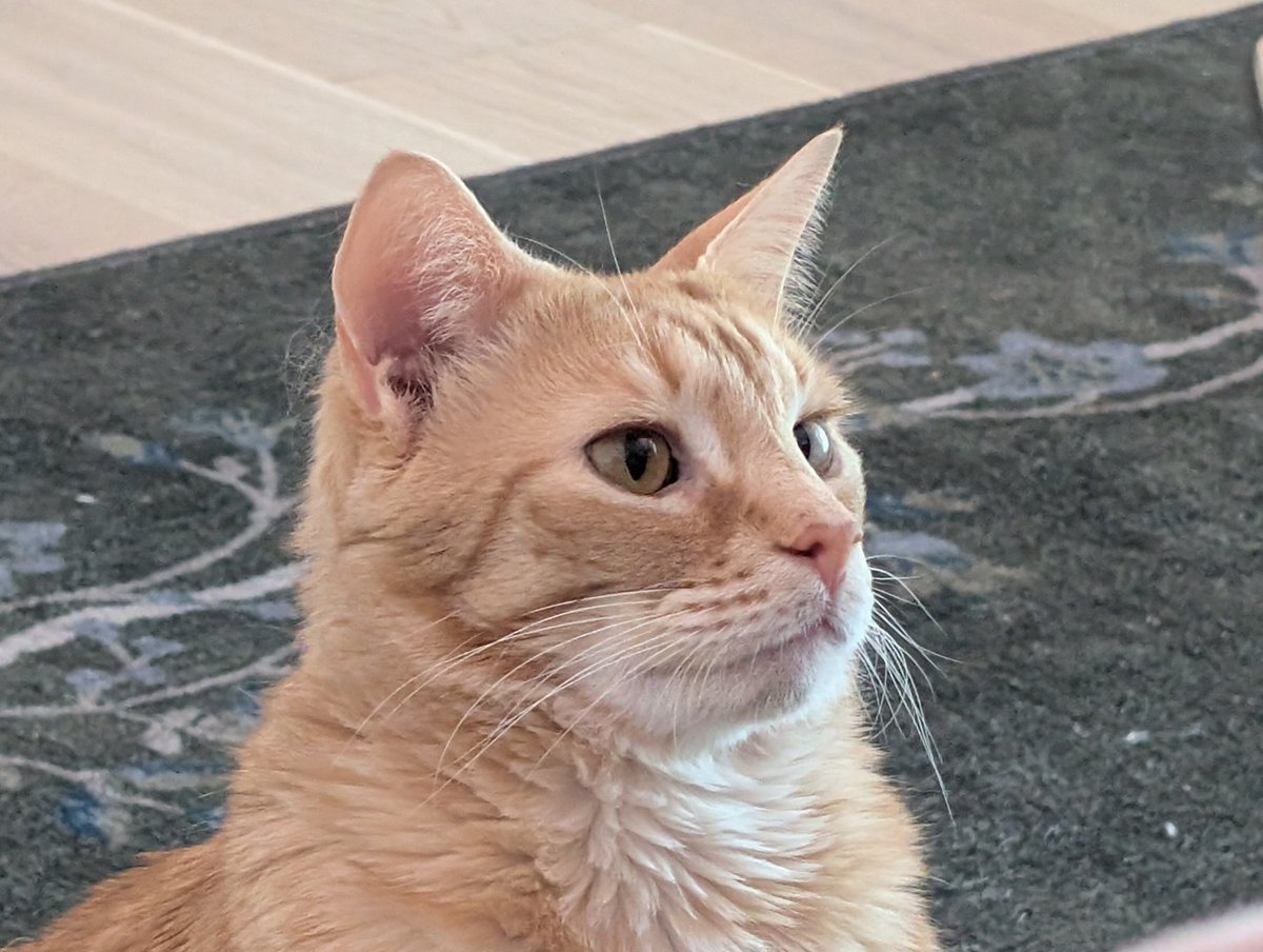 Mrhappy1227 tweet media