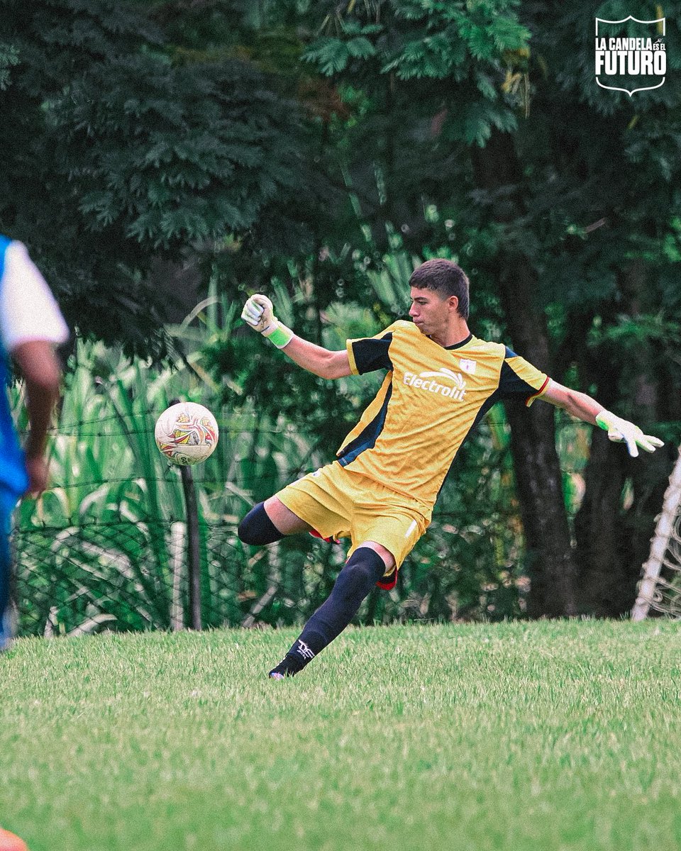 Categorías de Formación América de Cali tweet media