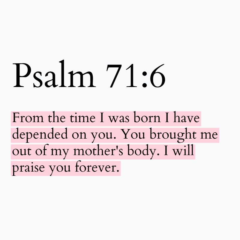 Holy Bible tweet media