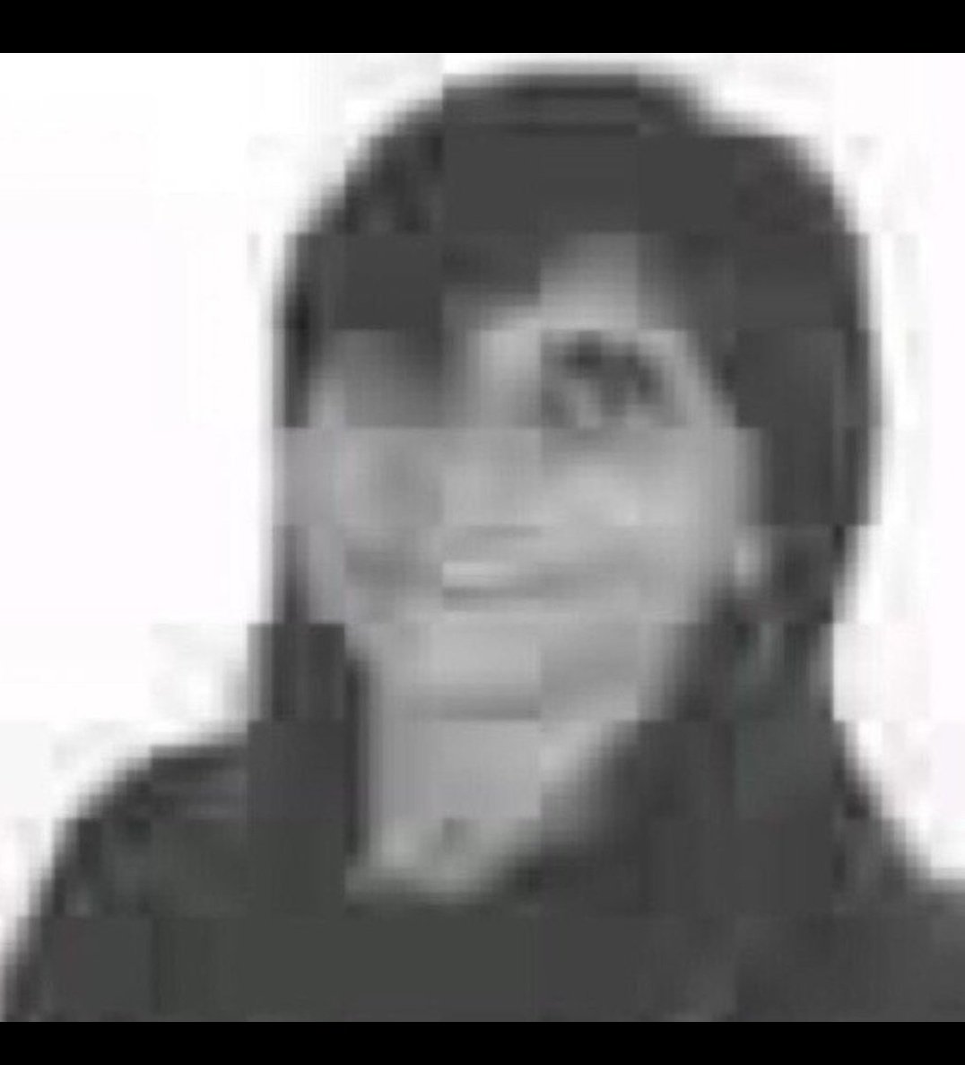 Havi da Nobreza tweet media