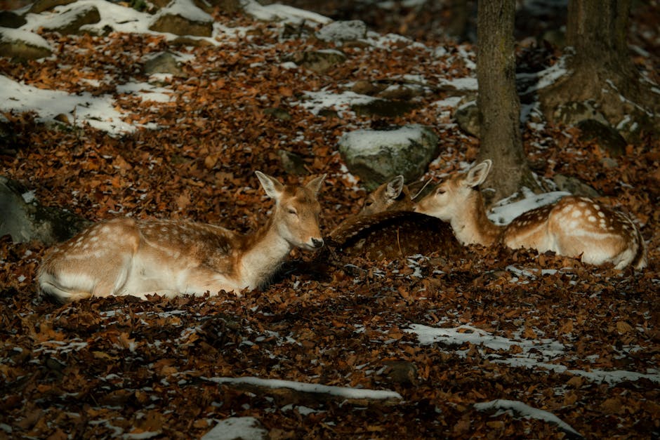 Christian Smith tweet media