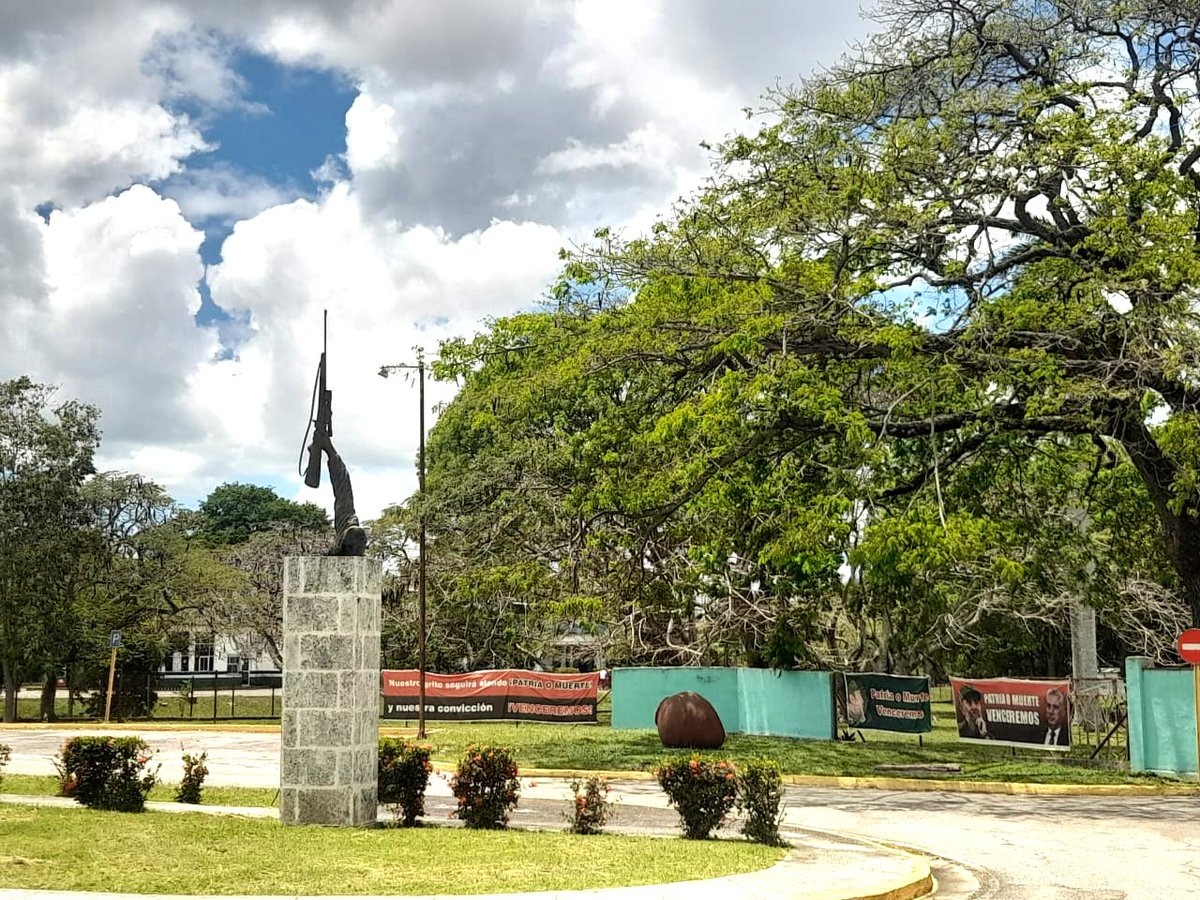 Walter Simon Noris tweet media