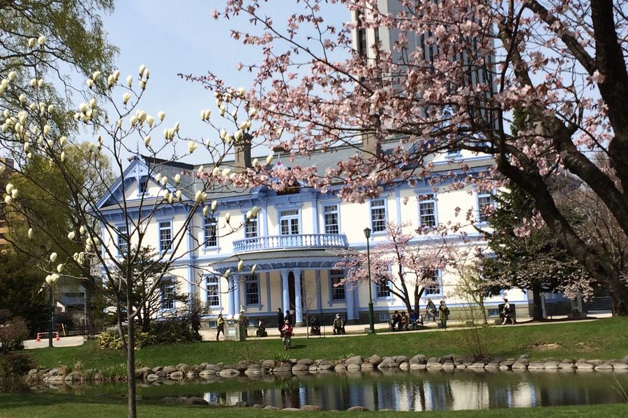 北の鳶 tweet media