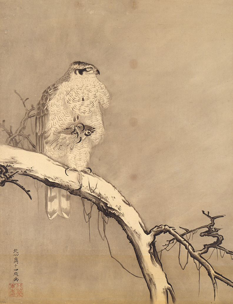 eiseibunko's tweet photo. 東京国立近代美術館「下村観山展」に出品しています。
後期（4/14～5/10）は「鷹之図」「女」「一休禅師」が展示されます。

https://t.co/PkZXhJJRRs
#東京国立近代美術館　#下村観山 https://t.co/4pj71GsnuR