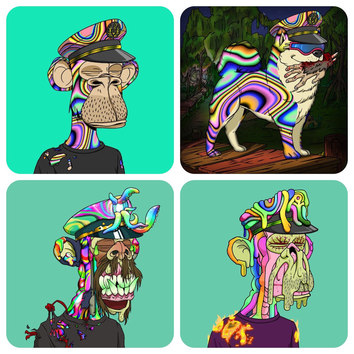 Captain Trippy tweet media