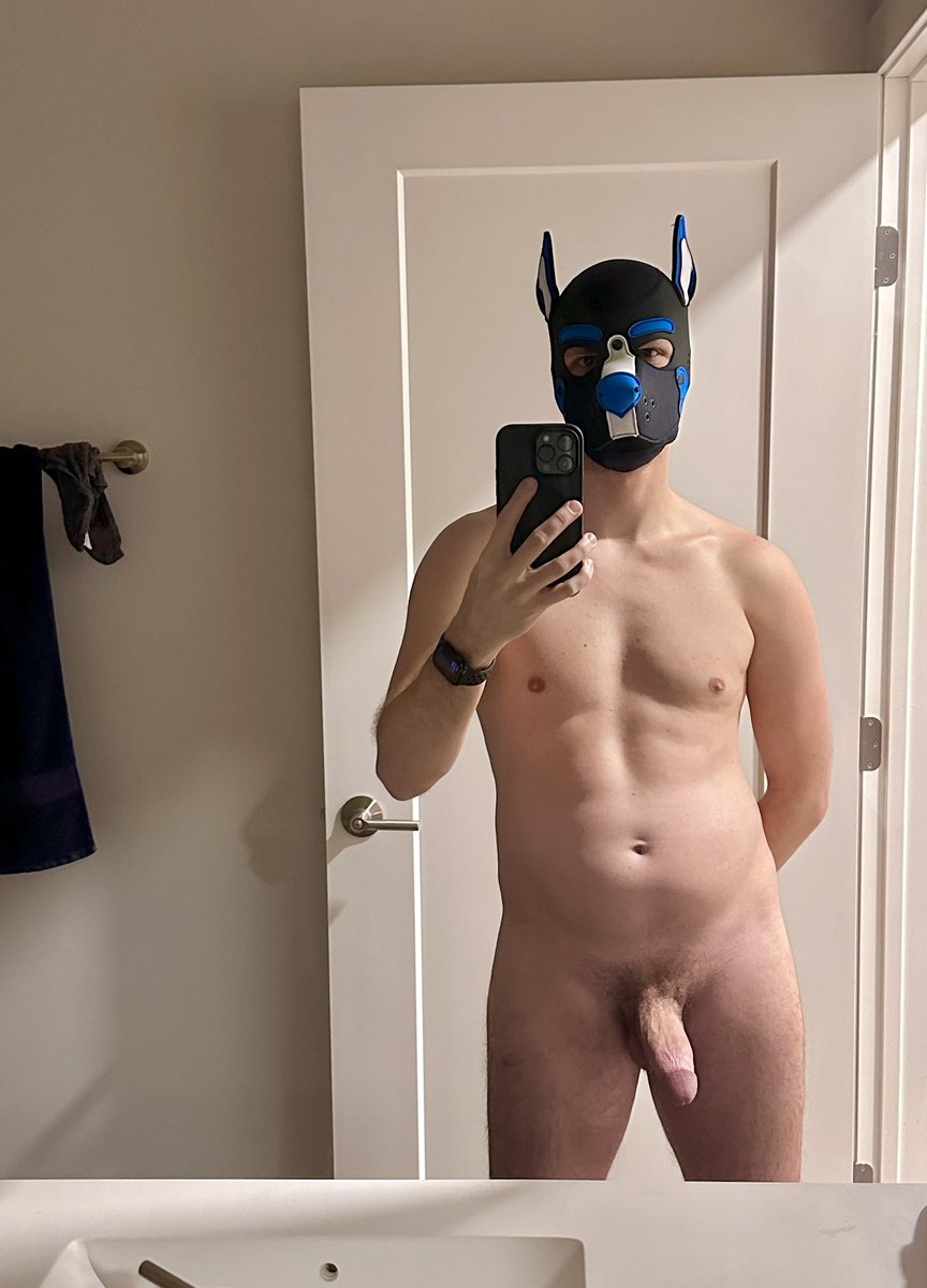 Pup Gemini tweet media