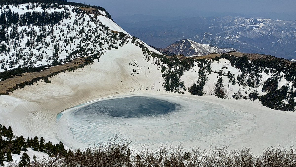 マナドーナ tweet media