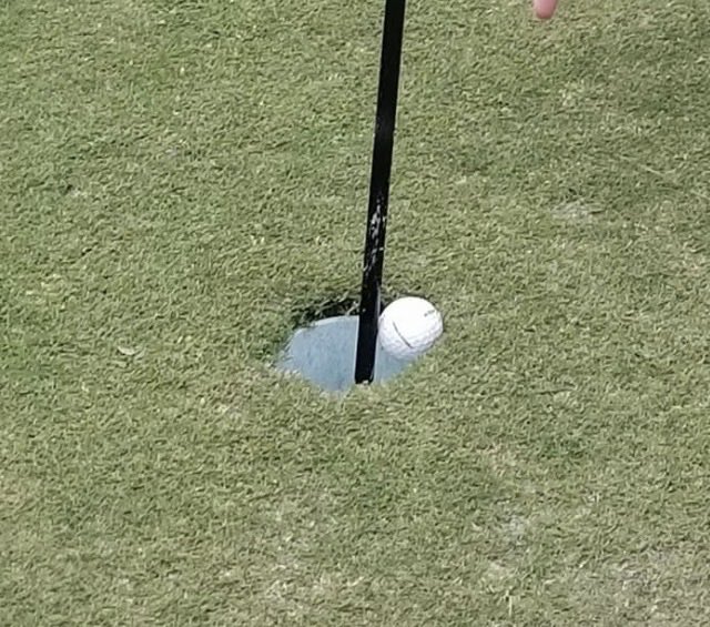 The Brain tweet media