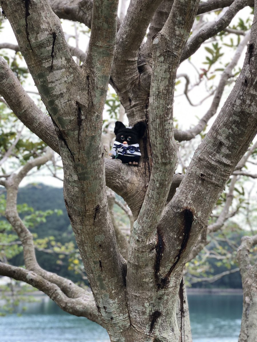 ♡かおり♡ tweet media