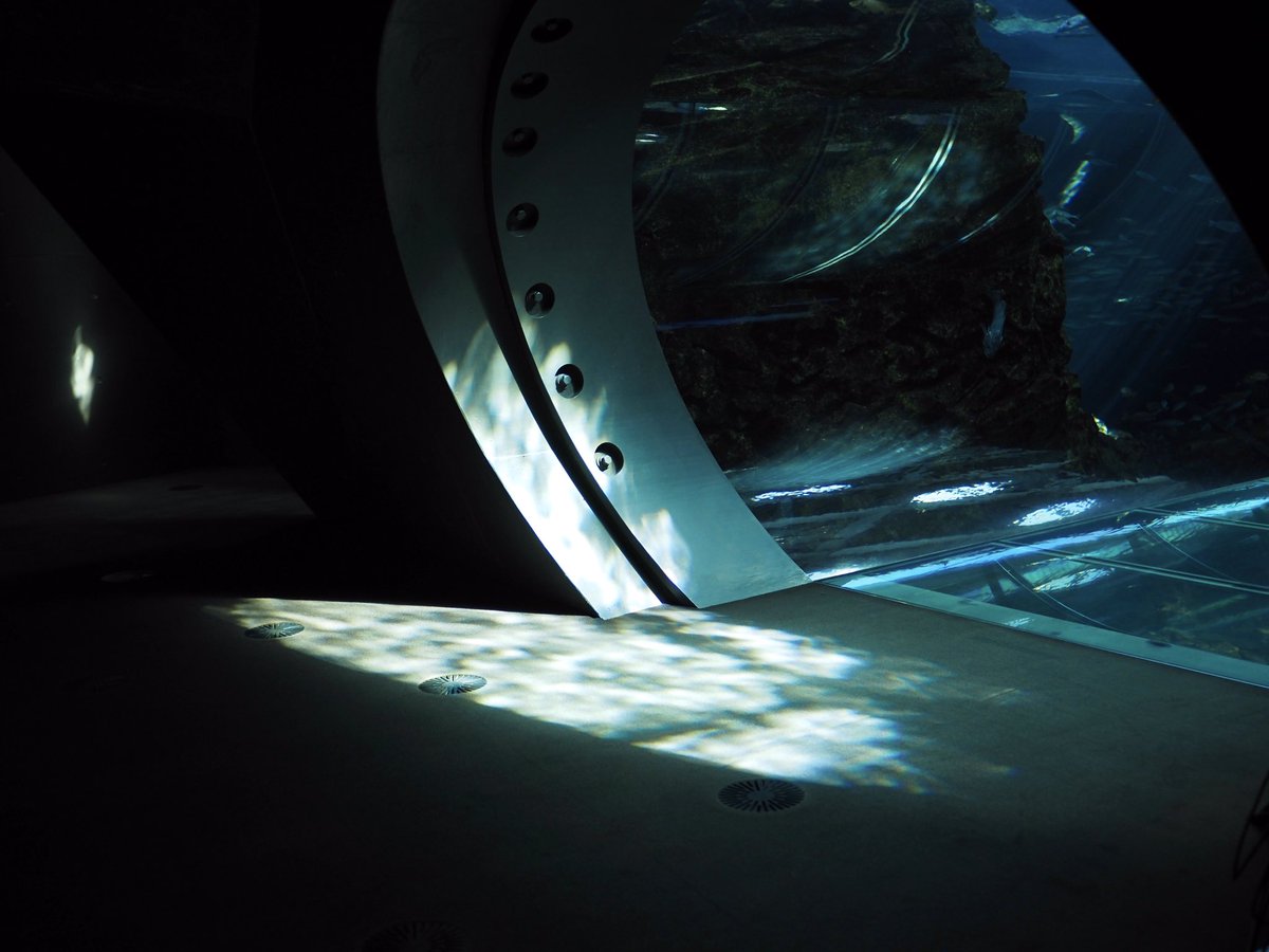 上越市立水族博物館 うみがたり tweet media