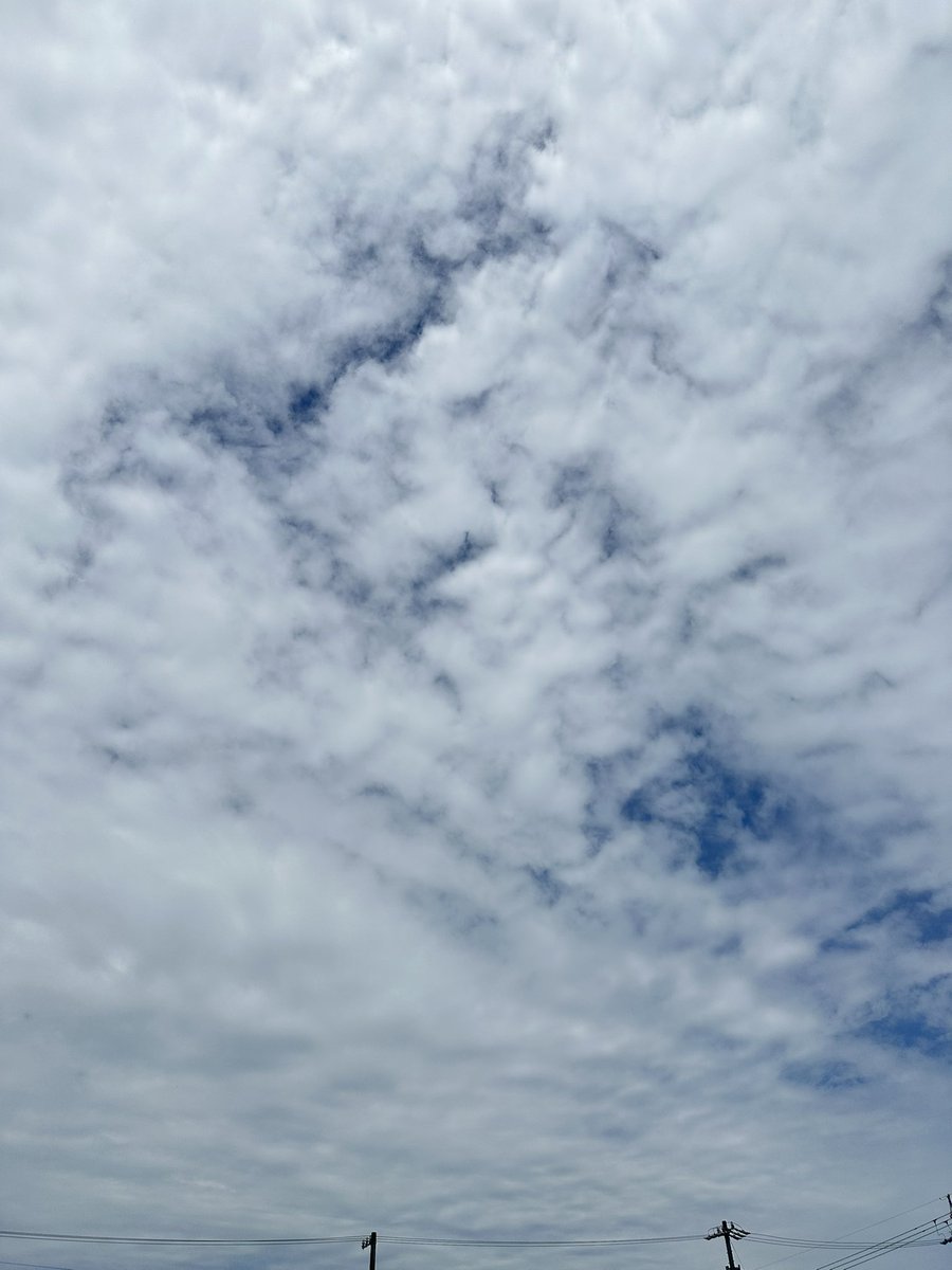 mi-ko(미즈호) tweet media