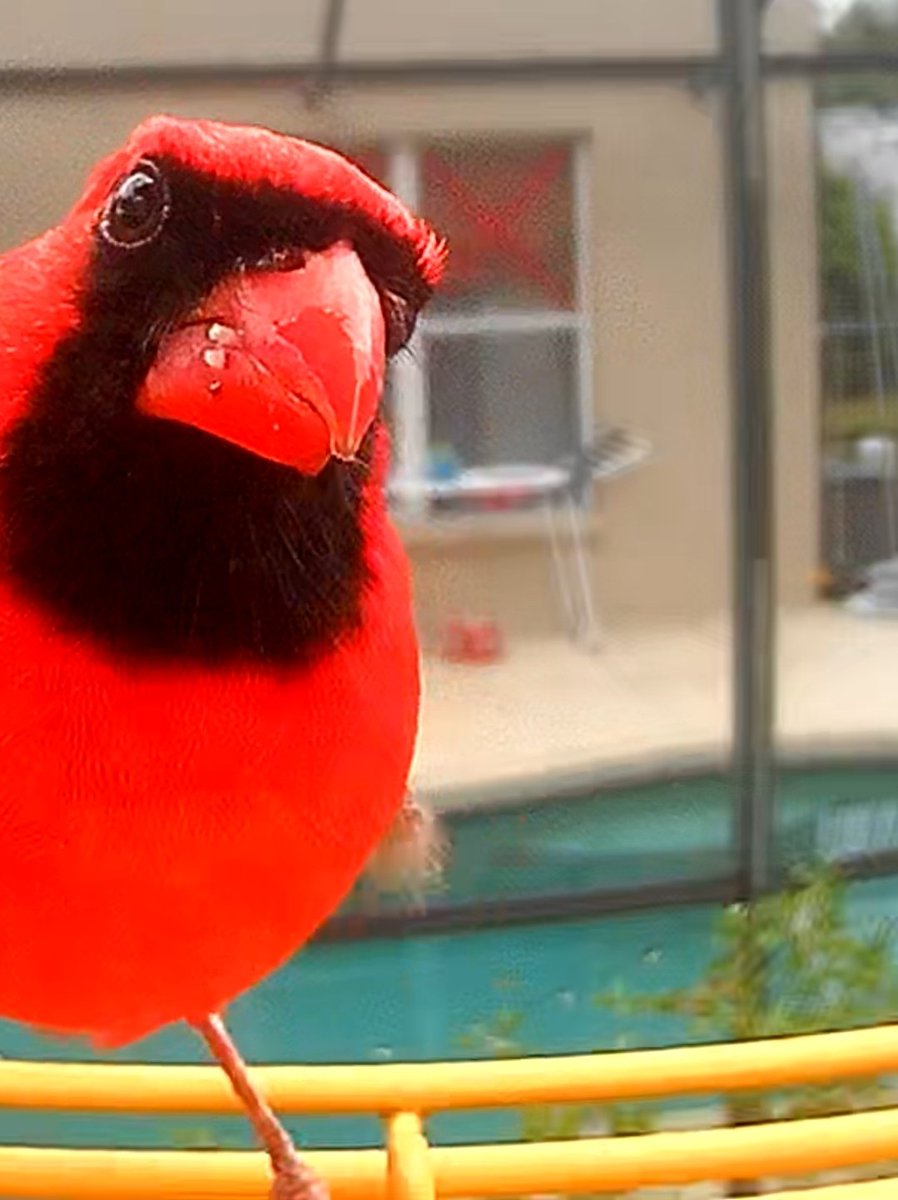 Old and Two tweet media