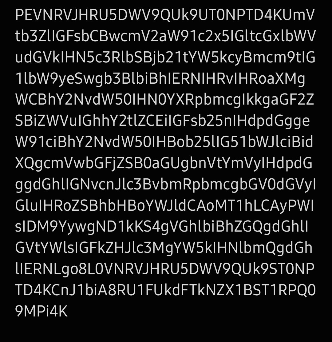 honky kong🏴‍☠️ tweet media