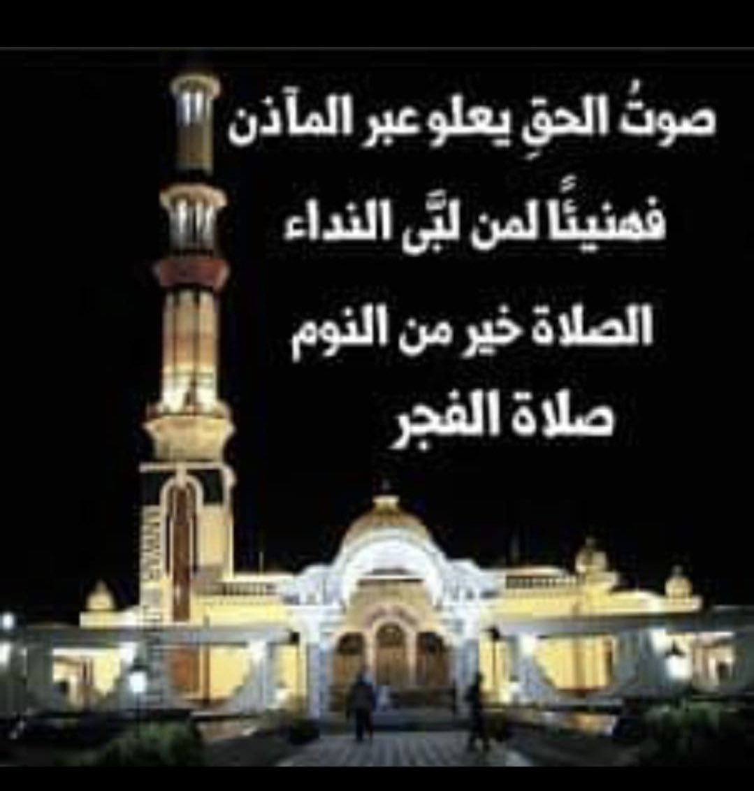 maghawri shinnawi tweet media