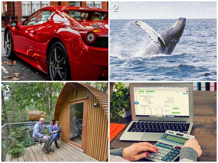 MarriedFun3's tweet photo. Date Idea Face-off! Which date idea would you rather do this weekend?

Respond with the name or number (or type in your own idea), then tag your spouse or married friends to let them know.

1: Test Drive (https://t.co/x3HrLCsOKP)
2: Whale Watching … https://t.co/P0dyO0pGTQ https://t.co/pWcZ0I3sRQ