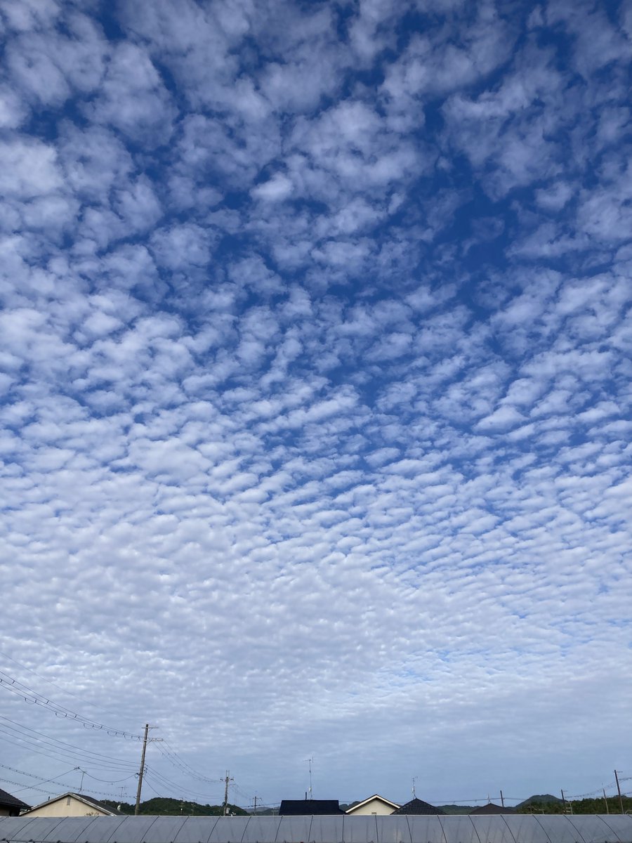 Jardinderoses33's tweet photo. 明日はきっと雨☔
空も生き生きと物語る😊
#ウロコ雲 #ジャフダンドゥラファマシ https://t.co/VfrCZZsCcP
