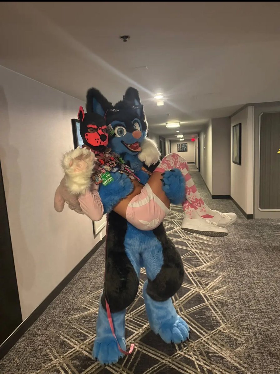 SkyeTheHoosk's tweet image. Giving @subtlepaaws uppies at #TFF2026 

#furry #furries #furrycommunity #furryfandom #gymfur #FursuitEveryday #fursuit #fursuiter