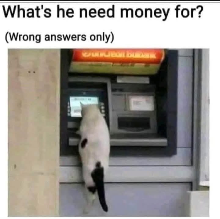 Beth Spieker tweet media