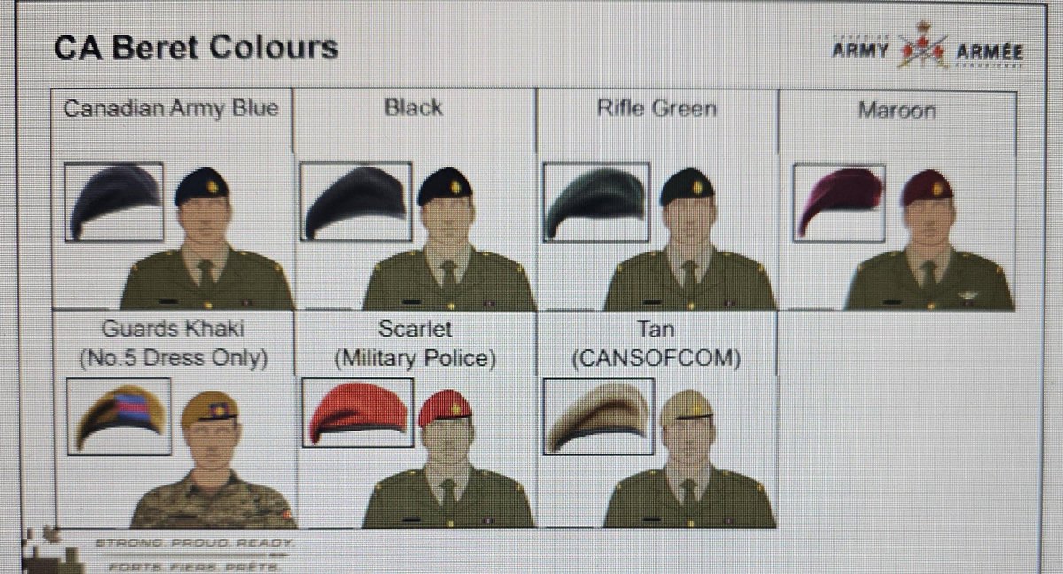 Mid-Career Army Officer tweet media