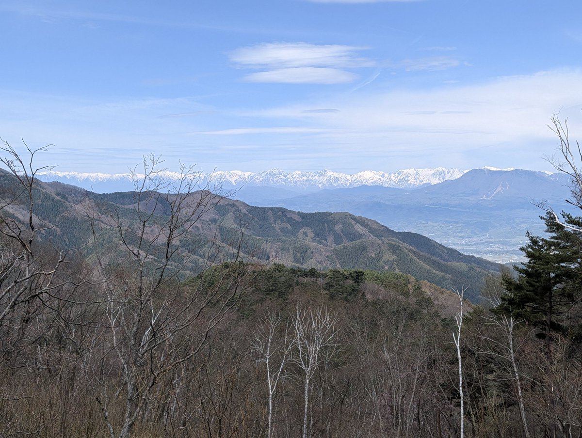 ばぅ→ tweet media