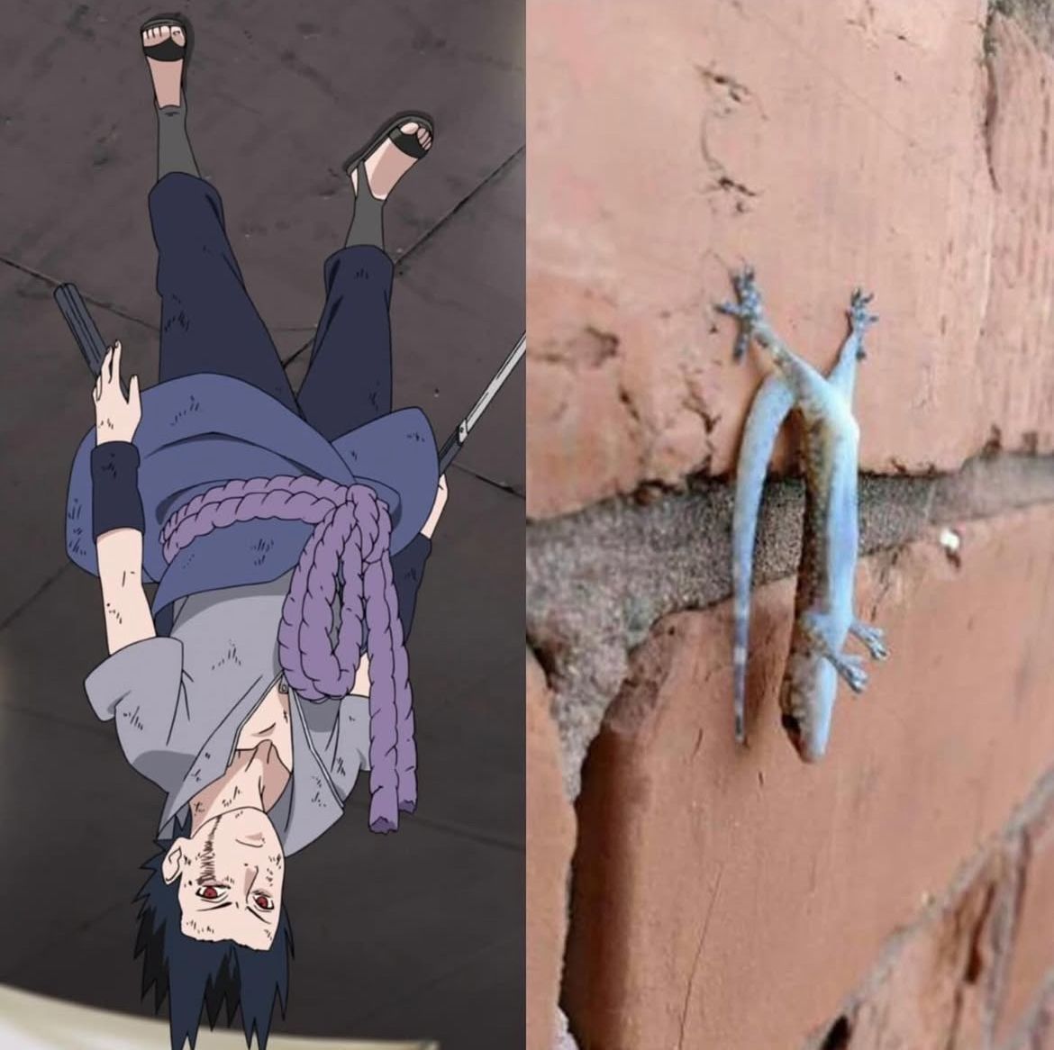 Daily Naruto tweet media