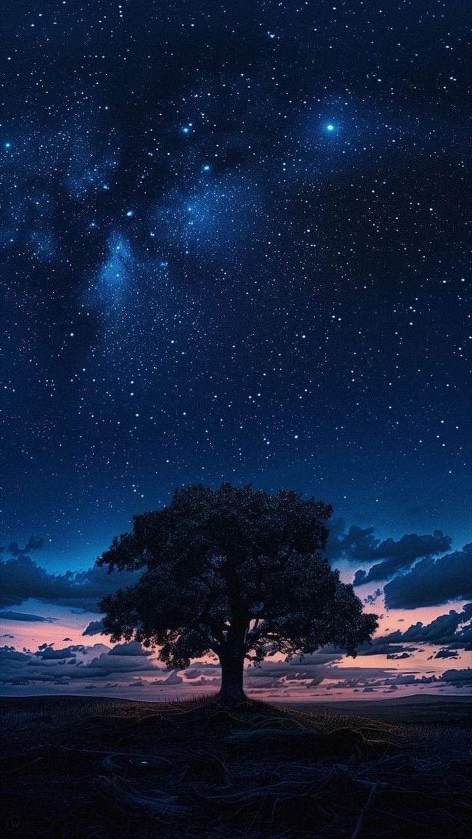 aestheticspost_'s tweet photo. https://t.co/eblQjLZZKW