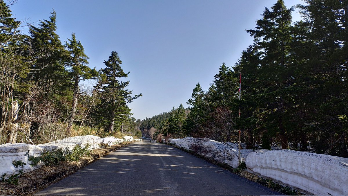 マナドーナ tweet media