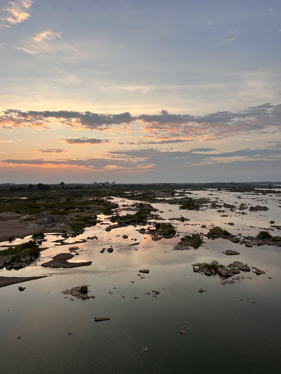 Ashwin Gandhi tweet media